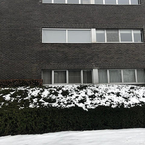 Ritzscreen V550 - Brasschaat